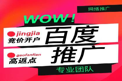 揭秘SEM代运营的成功要素与策略